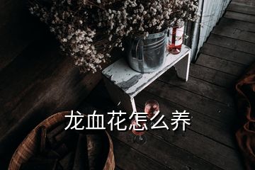 龍血花怎么養