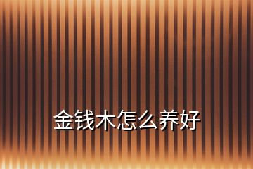 金錢木怎么養好