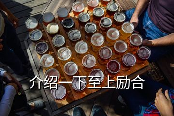 介紹一下至上勵合