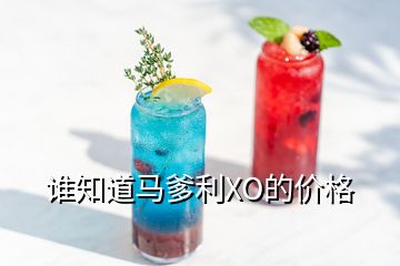 誰知道馬爹利XO的價(jià)格