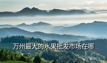 萬州最大的水果批發市場在哪