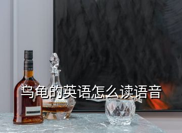 烏龜的英語怎么讀語音