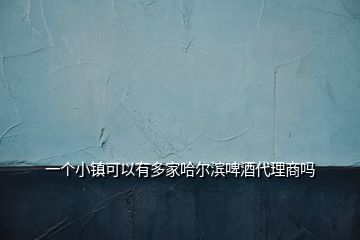 一個小鎮可以有多家哈爾濱啤酒代理商嗎