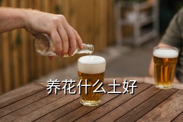 養花什么土好