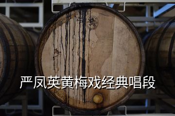 嚴鳳英黃梅戲經典唱段