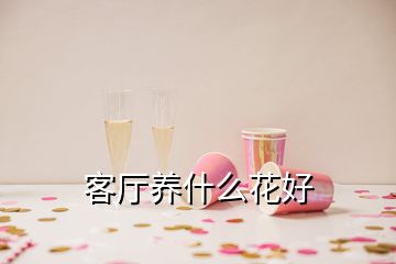 客廳養什么花好