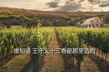 誰知道 王守義十三香是那里造的