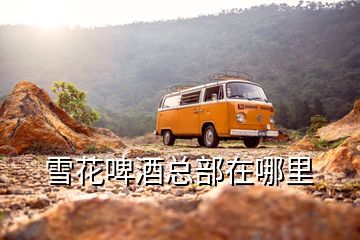 雪花啤酒總部在哪里