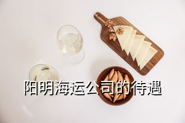 陽明海運(yùn)公司的待遇