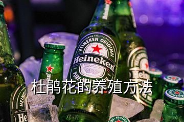 杜鵑花的養殖方法