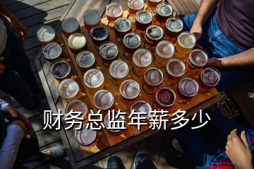 財務總監年薪多少