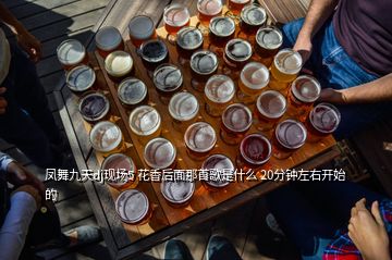 鳳舞九天dj現場5 花香后面那首歌是什么 20分鐘左右開始的