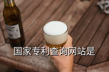 國家專利查詢網站是