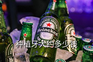 種植牙大約多少錢