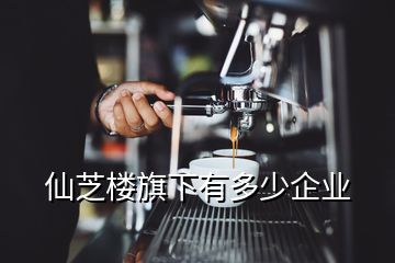 仙芝樓旗下有多少企業