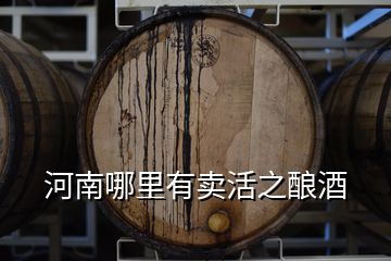 河南哪里有賣活之釀酒