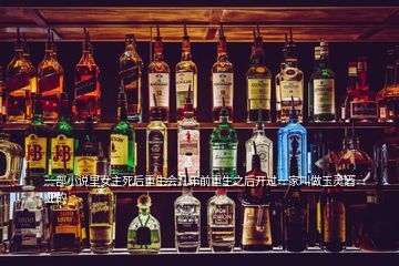 一部小說里女主死后重生會幾年前重生之后開過一家叫做玉靈酒業的