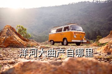 洋河大曲產自哪里