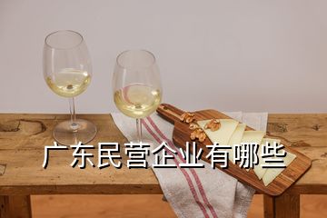 廣東民營企業有哪些
