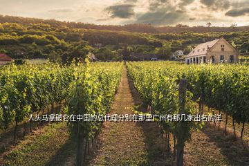 人頭馬拿破侖在中國的總代理分別在那里廣州有那幾家出名的洋