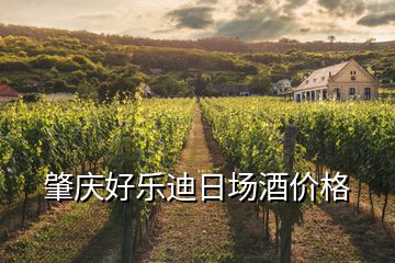 肇慶好樂迪日場酒價格