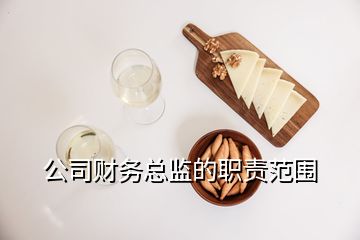 公司財務總監的職責范圍