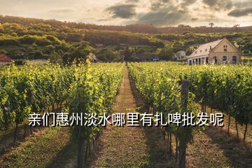 親們惠州淡水哪里有扎啤批發呢