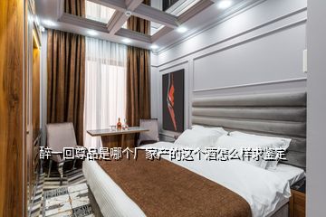 醉一回尊品是哪個廠家產的這個酒怎么樣求鑒定