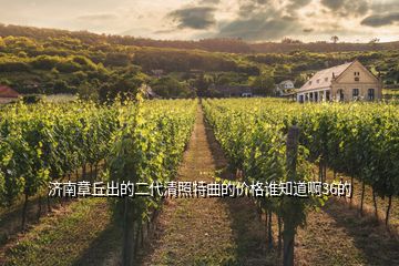 濟(jì)南章丘出的二代清照特曲的價(jià)格誰知道啊36的