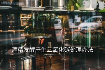 酒精發酵產生二氧化碳處理辦法