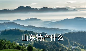 山東特產什么