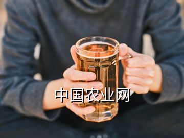 中國農業網