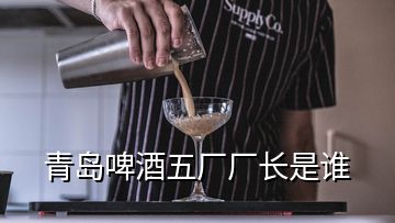 青島啤酒五廠廠長是誰