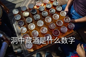 洞中藏酒是什么數字