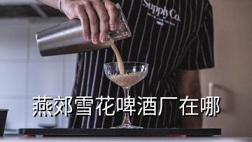 燕郊雪花啤酒廠在哪