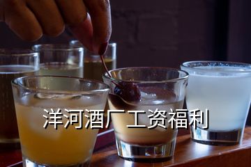 洋河酒廠工資福利