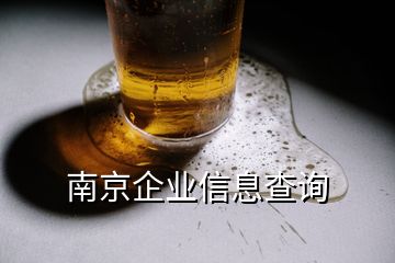 南京企業信息查詢