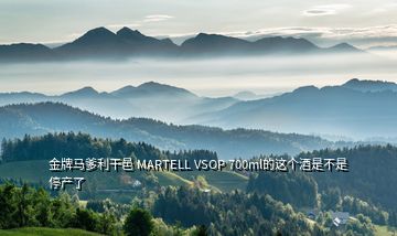 金牌馬爹利干邑 MARTELL VSOP 700ml的這個酒是不是停產了
