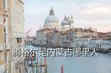 騰格爾是內蒙古哪里人