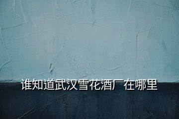 誰(shuí)知道武漢雪花酒廠在哪里