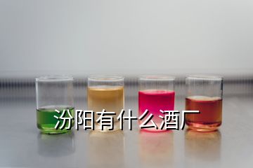 汾陽有什么酒廠