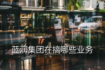 藍潤集團在搞哪些業務