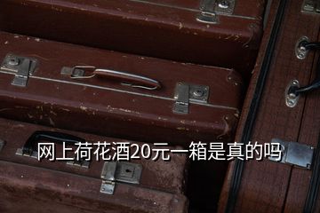 網上荷花酒20元一箱是真的嗎