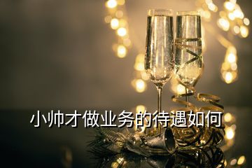 小帥才做業務的待遇如何