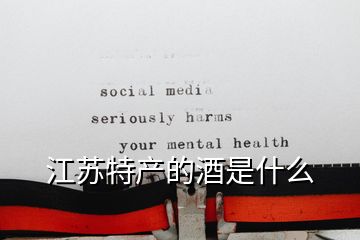 江蘇特產的酒是什么