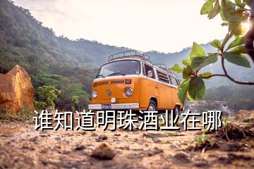 誰知道明珠酒業在哪
