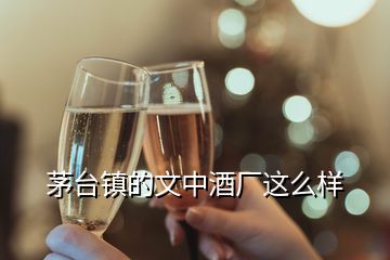 茅臺鎮的文中酒廠這么樣