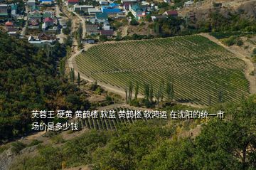 芙蓉王 硬黃 黃鶴樓 軟藍 黃鶴樓 軟鴻運 在沈陽的統一市場價是多少錢