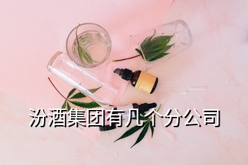 汾酒集團有幾個分公司