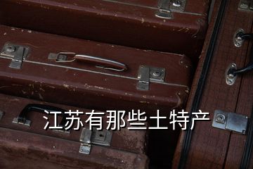 江蘇有那些土特產